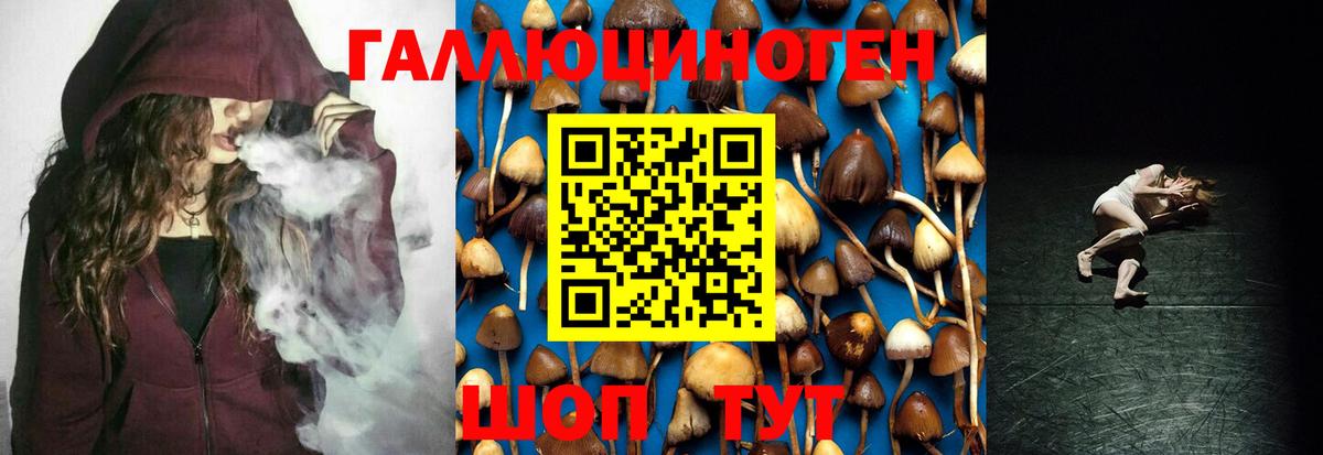 Острогожск  Псилоцибиновые грибы Psilocybine cubensis  где можно купить   Вход с VPN 